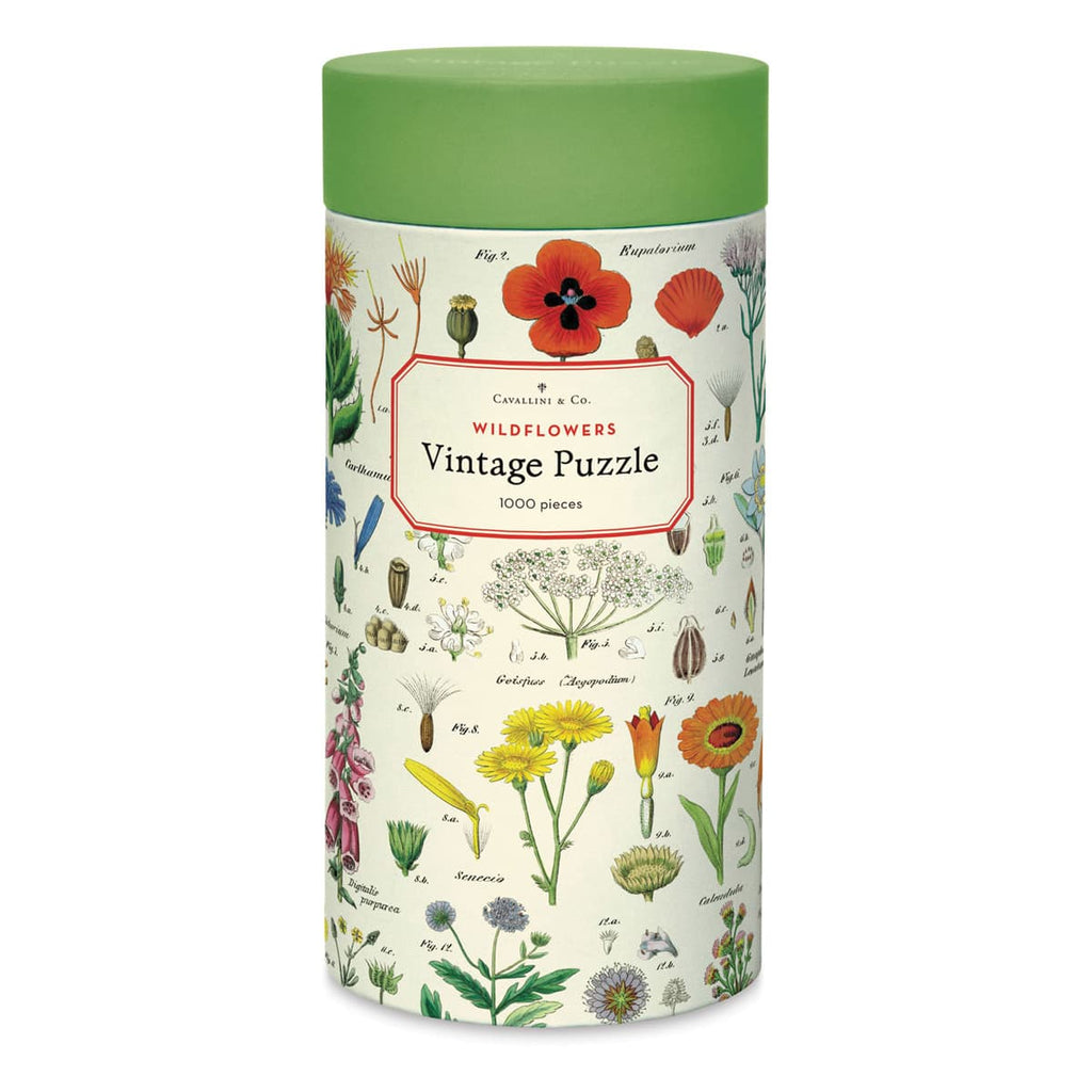 Cavallini & Co. Wildflowers — embalagem