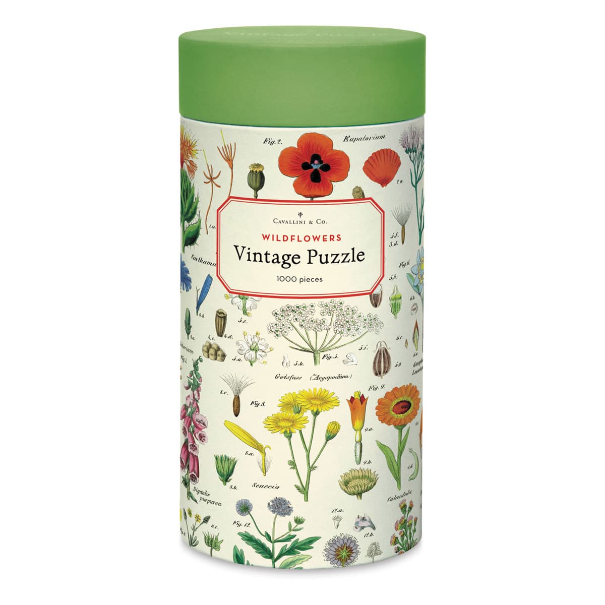Cavallini & Co. Wildflowers — embalagem