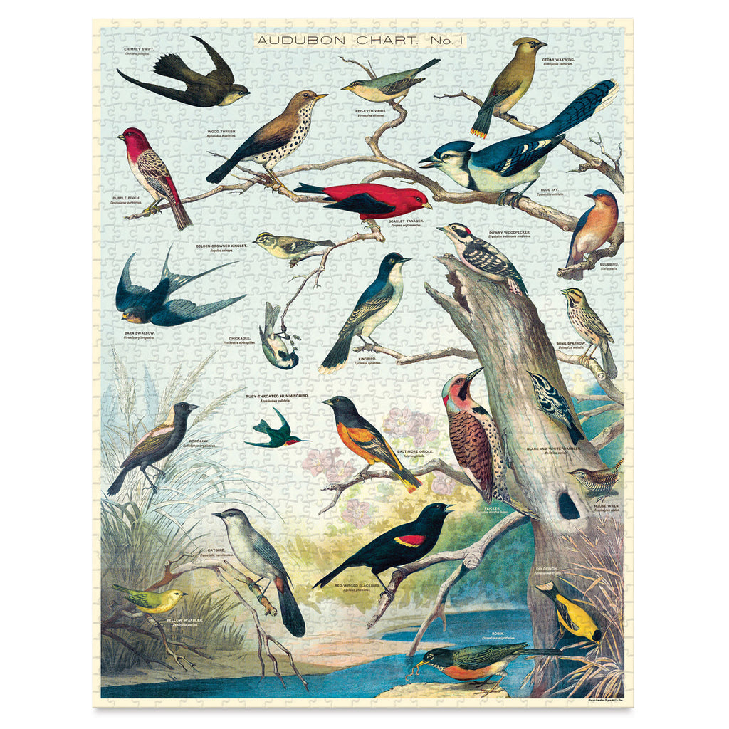 Cavallini & Co. Audubon Birds — quebra-cabeça montado