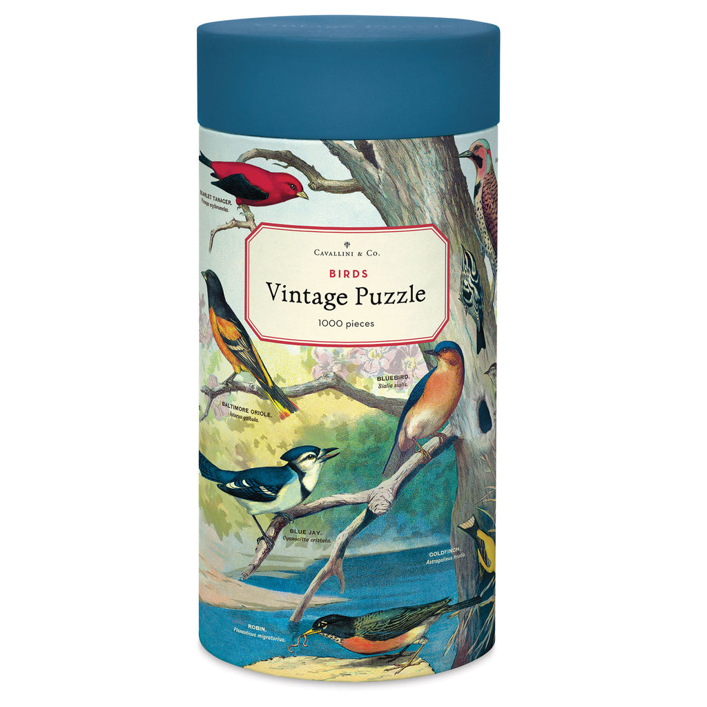 Cavallini & Co. Audubon Birds — embalagem