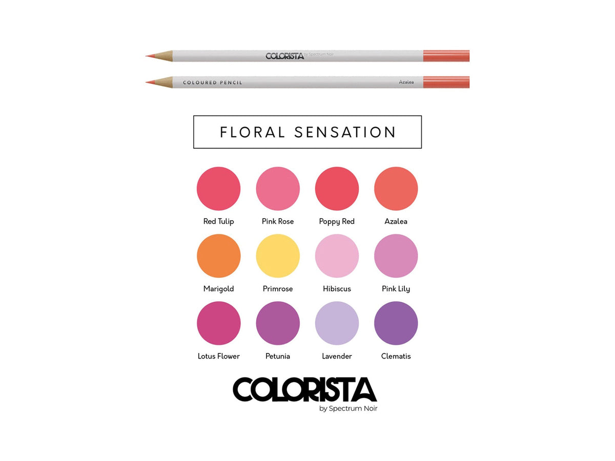 Spectrum Noir Colorista — Floral Sensation — 12 Lápis de Cor — imagem 1