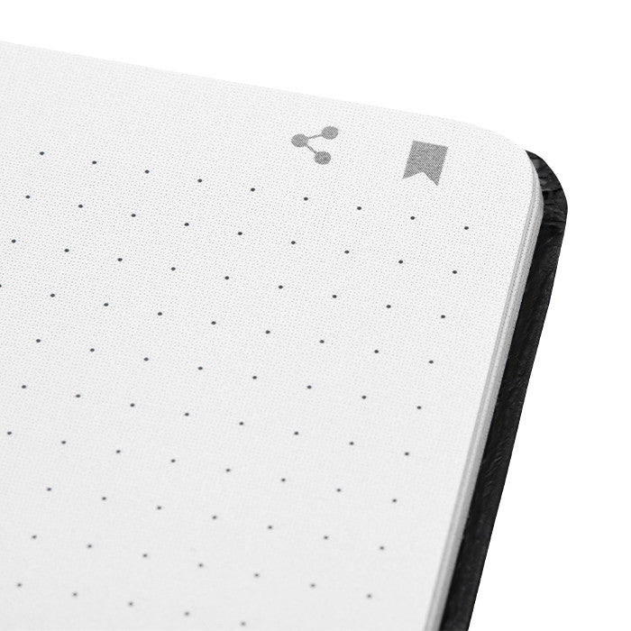 Detalhes do conjunto LAMY safari ncode
