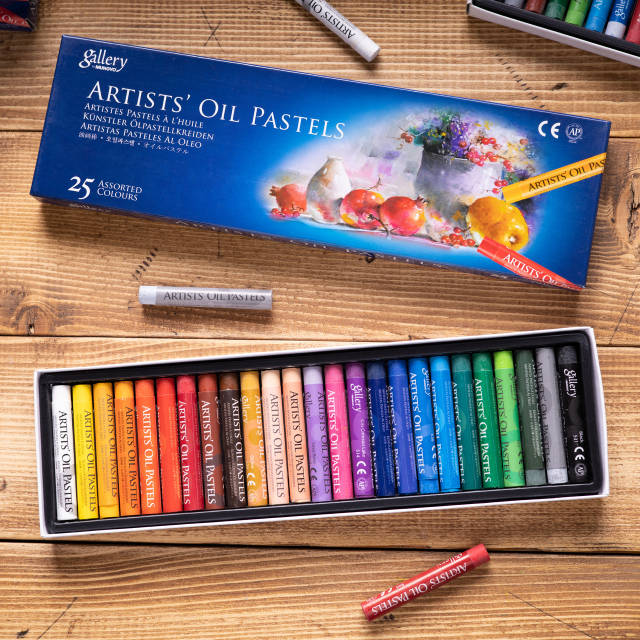 Mungyo Gallery Artists' Oil Pastels - conjunto 25 cores