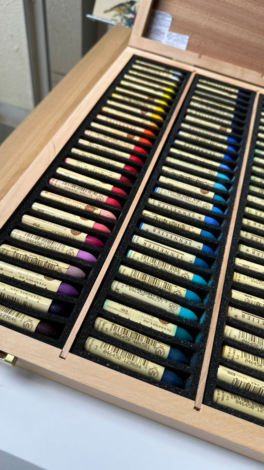 Detalhe das cores dos pastéis a óleo Sennelier